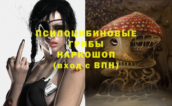 винт Алзамай
