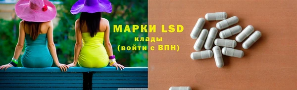 винт Алзамай