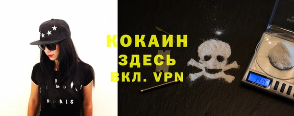 винт Алзамай