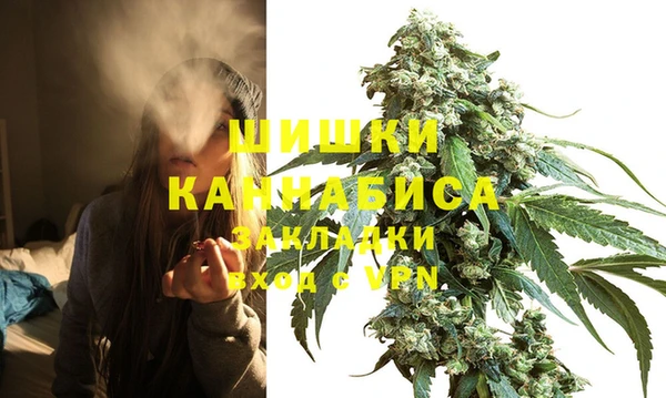 винт Алзамай