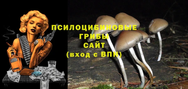 ALPHA PVP Алексин