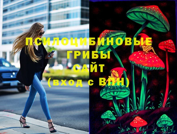 винт Алзамай