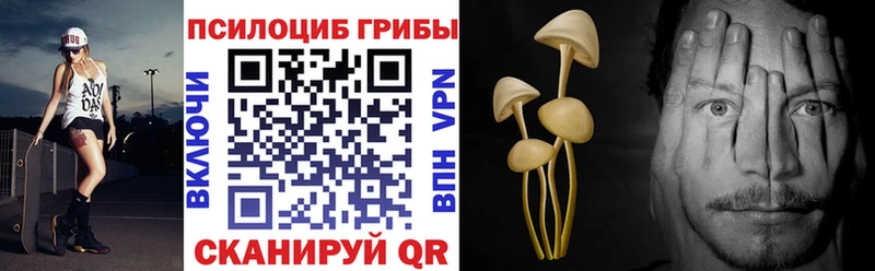 купить наркоту  Дзержинск  Галлюциногенные грибы прущие грибы 