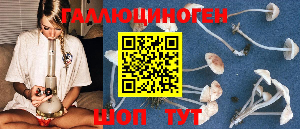 Псилоцибиновые грибы Psilocybine cubensis  Вход с VPN  Дзержинск 