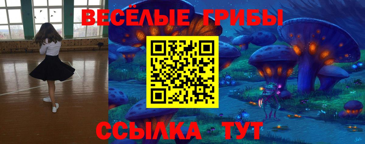 Галлюциногенные грибы прущие грибы Дзержинск
